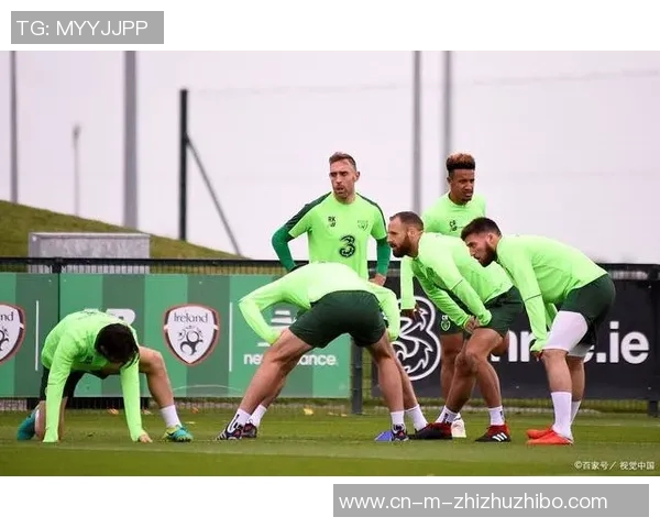 爱尔兰与奥地利足球赛前瞻分析及胜负预测解析 爱尔兰与奥地利足球赛前瞻分析及胜负预测解析