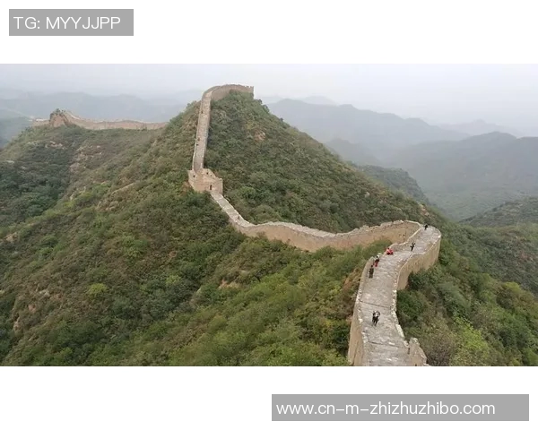 贝拉vs对手的精彩对决揭示了女性力量与勇气的无限可能性 贝拉vs对手的精彩对决揭示了女性力量与勇气的无限可能性